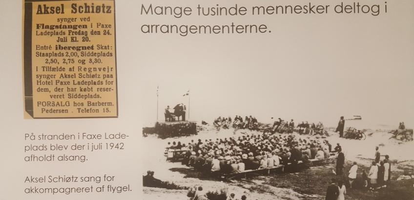 Alsang på stranden i Faxe Ladeplads Alsang på stranden i Faxe Ladeplads