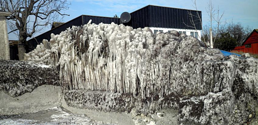 Skvulptur 2011